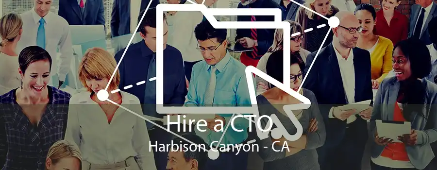 Hire a CTO Harbison Canyon - CA