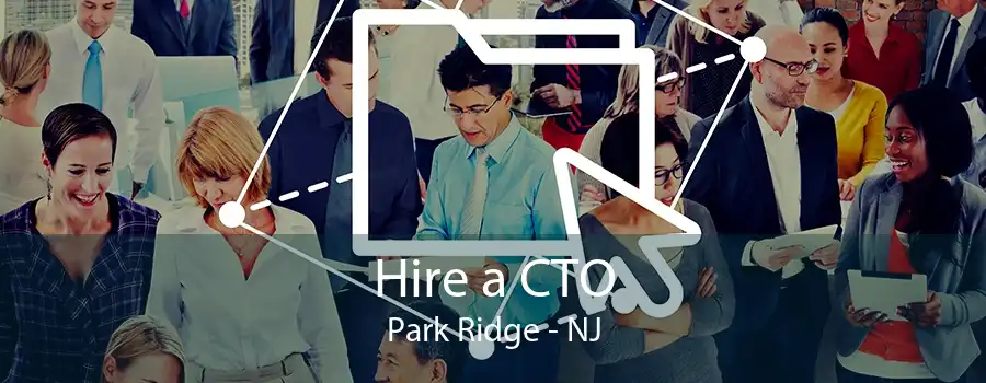 Hire a CTO Park Ridge - NJ