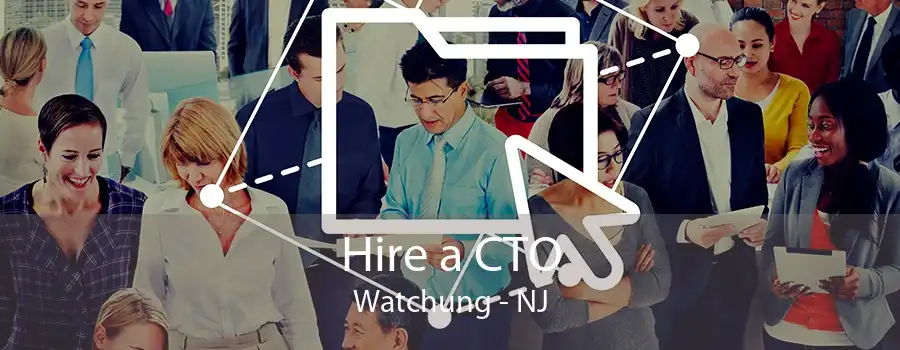 Hire a CTO Watchung - NJ