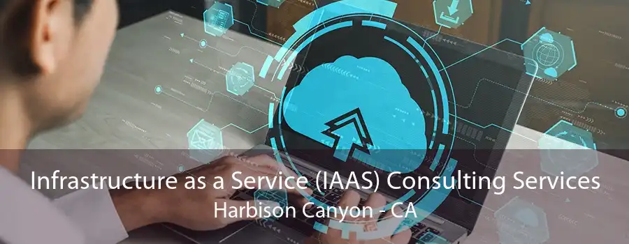 Infrastructure as a Service (IAAS) Consulting Services Harbison Canyon - CA