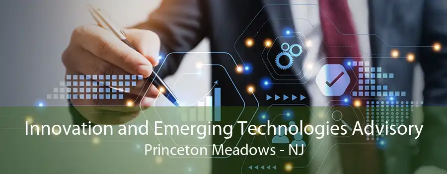 Innovation and Emerging Technologies Advisory Princeton Meadows - NJ