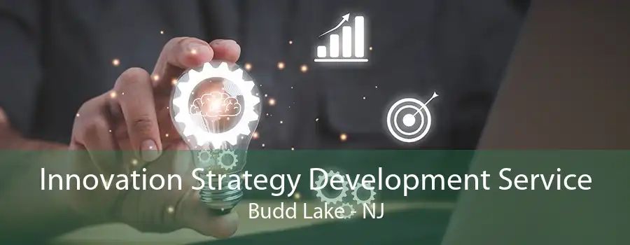 Innovation Strategy Development Service Budd Lake - NJ