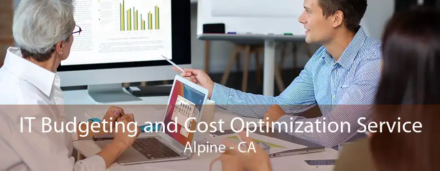 IT Budgeting and Cost Optimization Service Alpine - CA