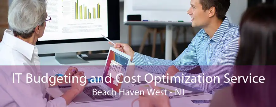 IT Budgeting and Cost Optimization Service Beach Haven West - NJ