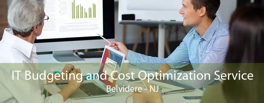 IT Budgeting and Cost Optimization Service Belvidere - NJ