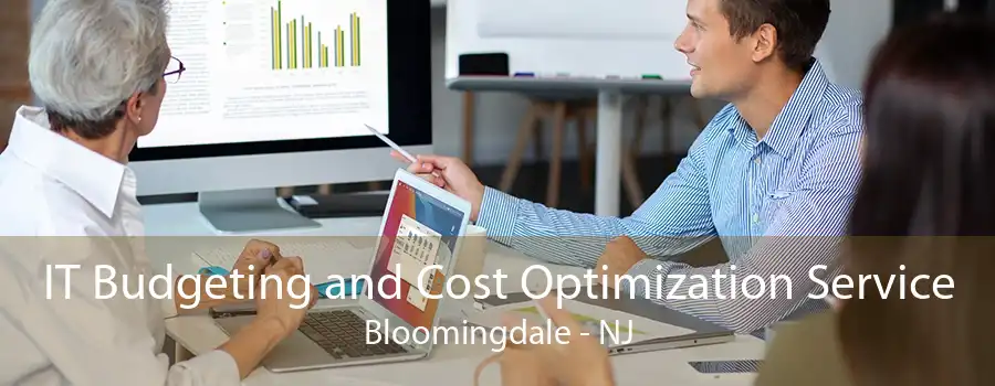 IT Budgeting and Cost Optimization Service Bloomingdale - NJ