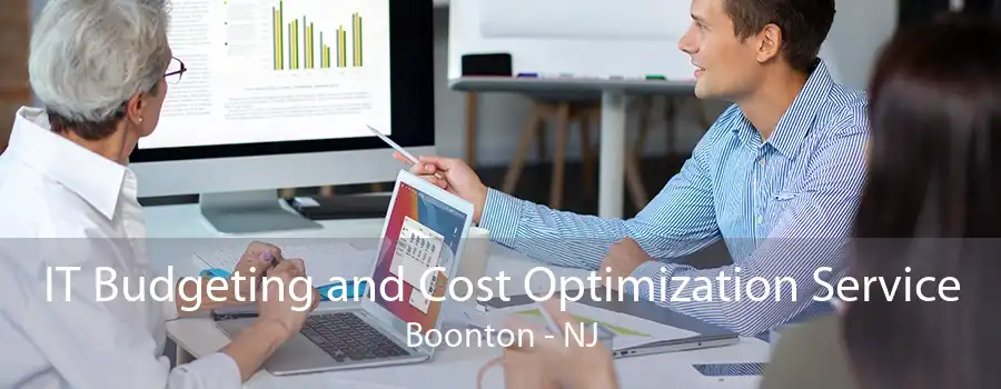 IT Budgeting and Cost Optimization Service Boonton - NJ