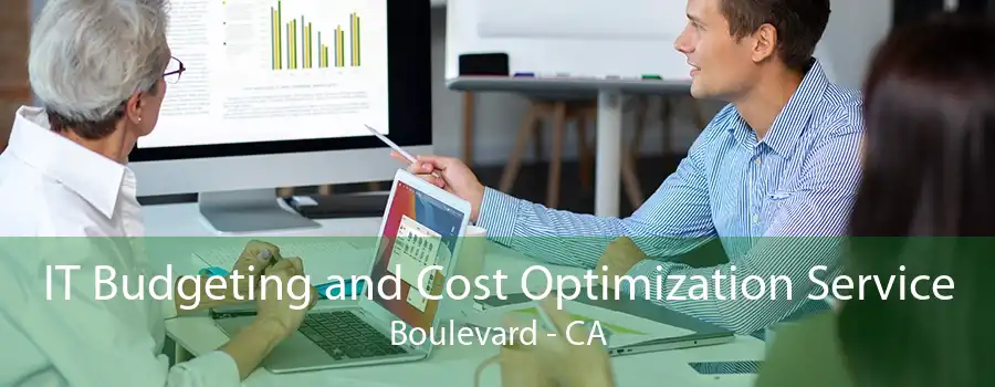 IT Budgeting and Cost Optimization Service Boulevard - CA