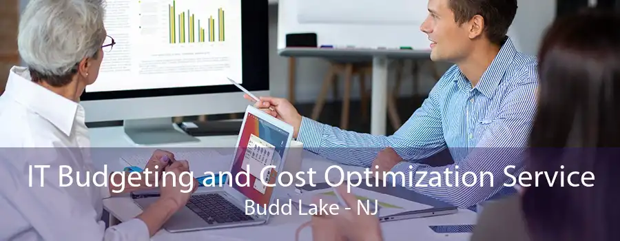 IT Budgeting and Cost Optimization Service Budd Lake - NJ