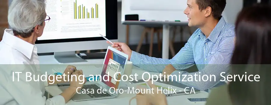 IT Budgeting and Cost Optimization Service Casa de Oro-Mount Helix - CA