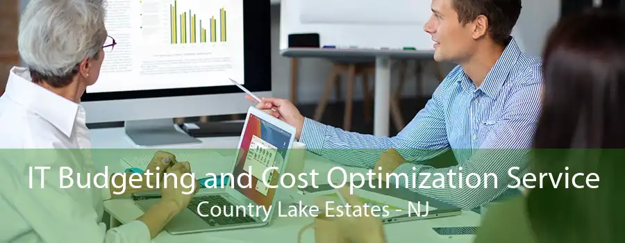 IT Budgeting and Cost Optimization Service Country Lake Estates - NJ