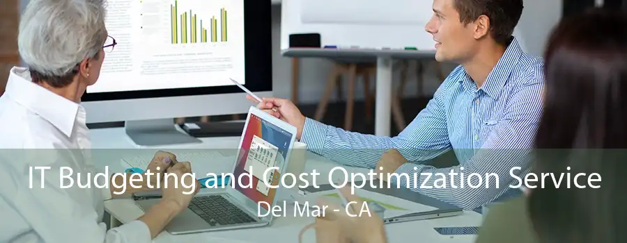 IT Budgeting and Cost Optimization Service Del Mar - CA