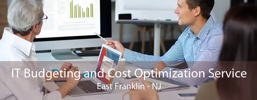 IT Budgeting and Cost Optimization Service East Franklin - NJ