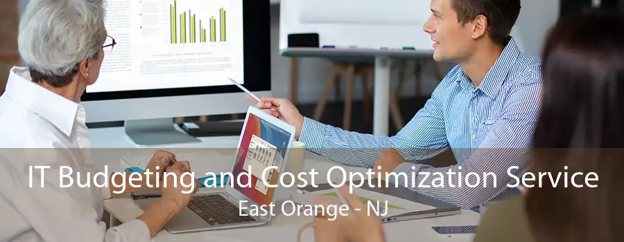 IT Budgeting and Cost Optimization Service East Orange - NJ