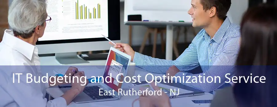 IT Budgeting and Cost Optimization Service East Rutherford - NJ