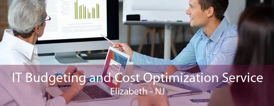 IT Budgeting and Cost Optimization Service Elizabeth - NJ