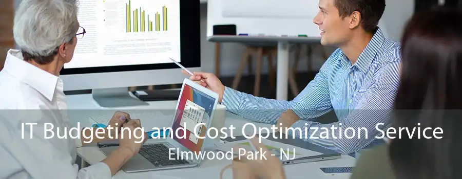 IT Budgeting and Cost Optimization Service Elmwood Park - NJ