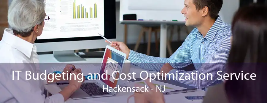 IT Budgeting and Cost Optimization Service Hackensack - NJ