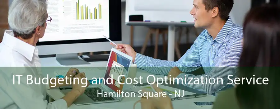 IT Budgeting and Cost Optimization Service Hamilton Square - NJ