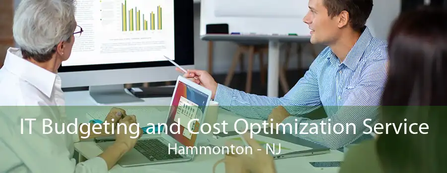 IT Budgeting and Cost Optimization Service Hammonton - NJ