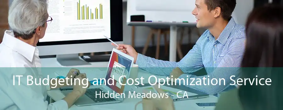 IT Budgeting and Cost Optimization Service Hidden Meadows - CA