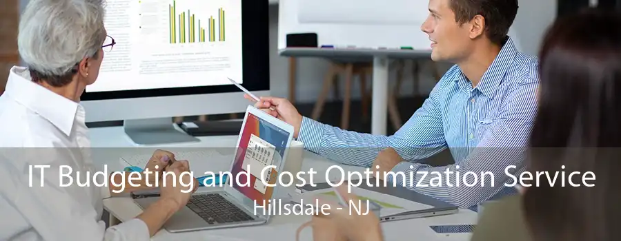 IT Budgeting and Cost Optimization Service Hillsdale - NJ