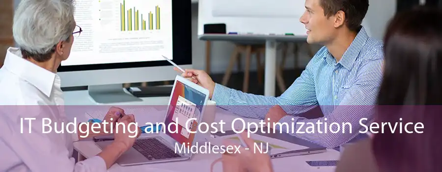 IT Budgeting and Cost Optimization Service Middlesex - NJ