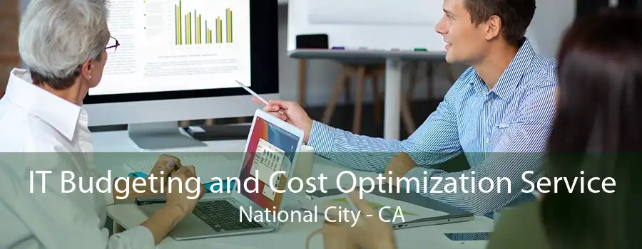 IT Budgeting and Cost Optimization Service National City - CA