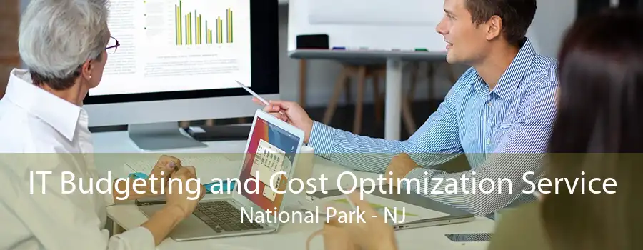 IT Budgeting and Cost Optimization Service National Park - NJ