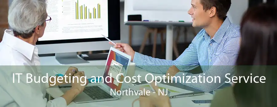 IT Budgeting and Cost Optimization Service Northvale - NJ