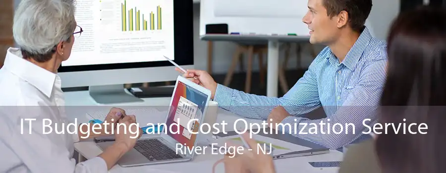 IT Budgeting and Cost Optimization Service River Edge - NJ