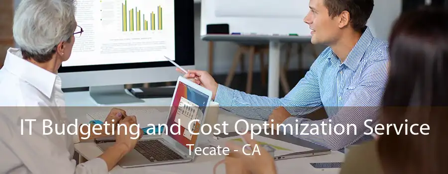 IT Budgeting and Cost Optimization Service Tecate - CA