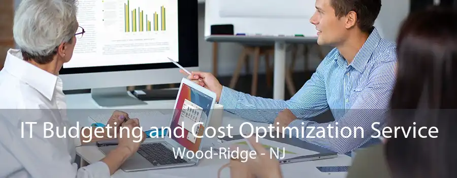 IT Budgeting and Cost Optimization Service Wood-Ridge - NJ