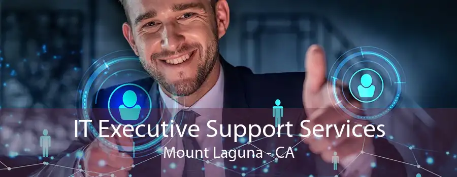 IT Executive Support Services Mount Laguna - CA