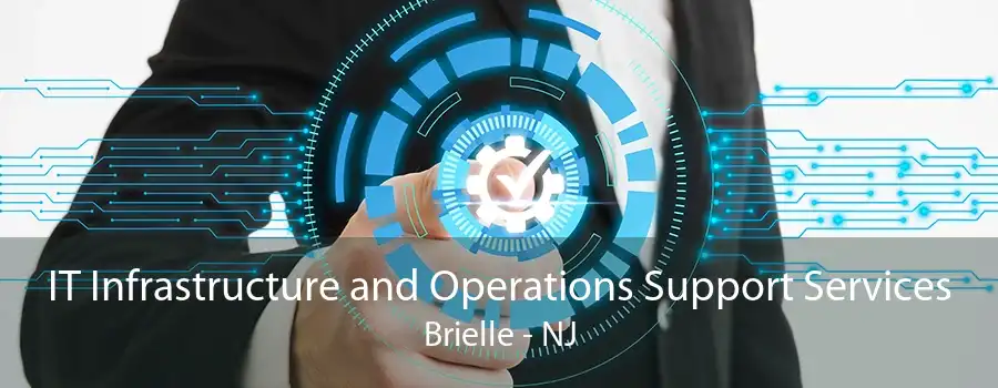 IT Infrastructure and Operations Support Services Brielle - NJ