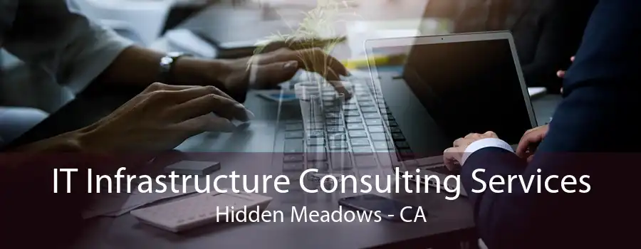 IT Infrastructure Consulting Services Hidden Meadows - CA