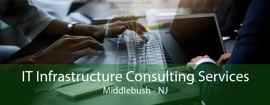 IT Infrastructure Consulting Services Middlebush - NJ