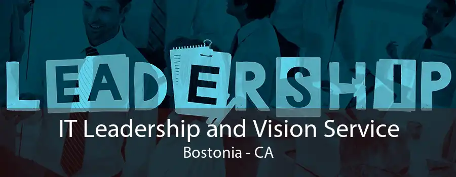 IT Leadership and Vision Service Bostonia - CA