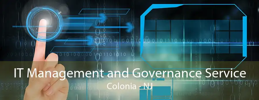 IT Management and Governance Service Colonia - NJ