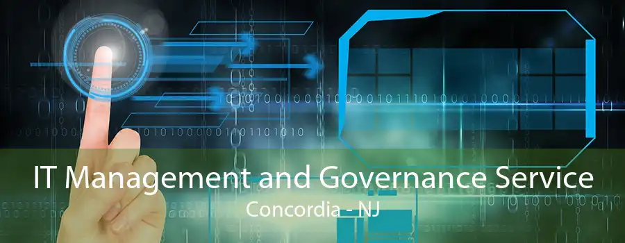 IT Management and Governance Service Concordia - NJ