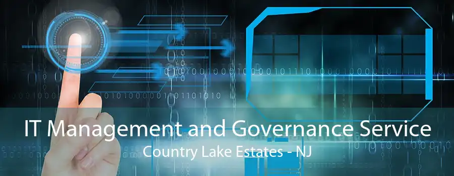 IT Management and Governance Service Country Lake Estates - NJ