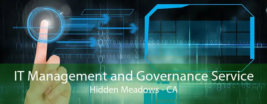 IT Management and Governance Service Hidden Meadows - CA