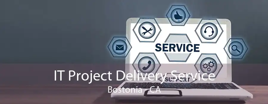 IT Project Delivery Service Bostonia - CA