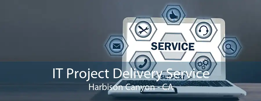 IT Project Delivery Service Harbison Canyon - CA