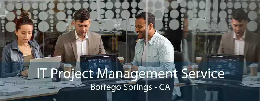 IT Project Management Service Borrego Springs - CA