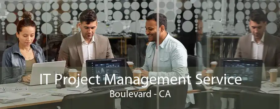 IT Project Management Service Boulevard - CA