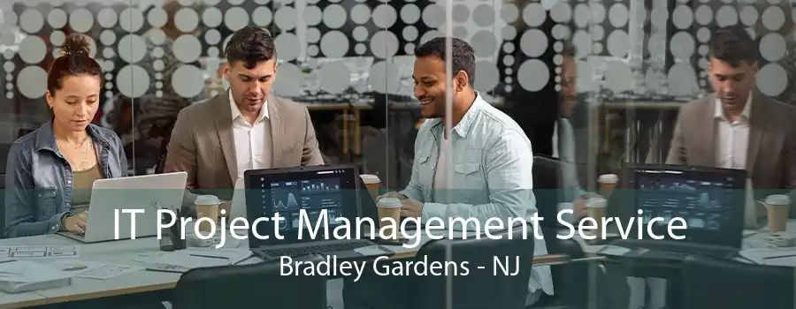 IT Project Management Service Bradley Gardens - NJ