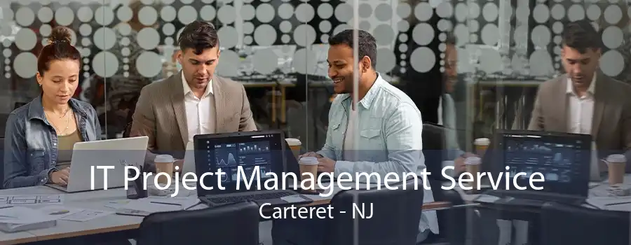 IT Project Management Service Carteret - NJ