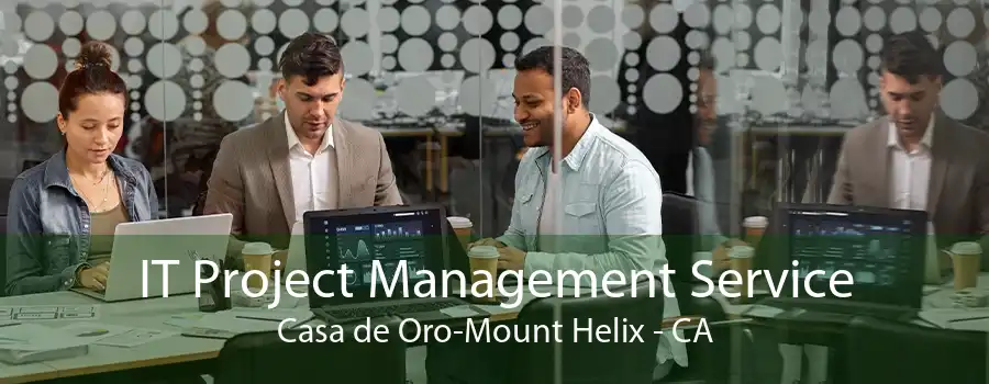 IT Project Management Service Casa de Oro-Mount Helix - CA