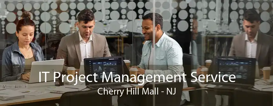 IT Project Management Service Cherry Hill Mall - NJ